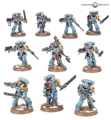Space Wolves - Grey Hunters